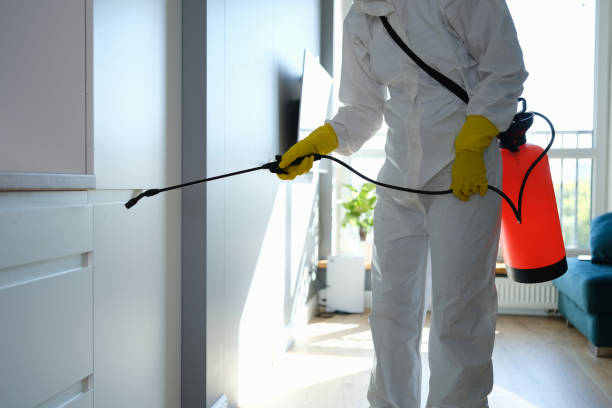 Best Emergency Mold Removal  in Oak Grove, TN